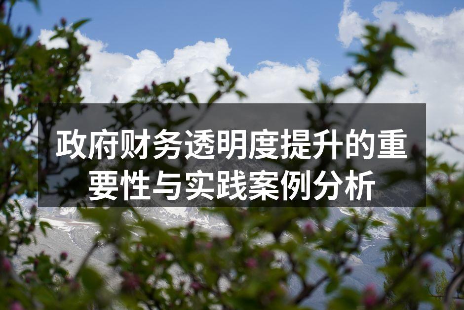 政府财务透明度提升的重要性与实践案例分析