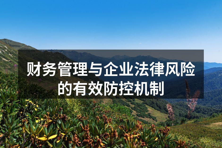 财务管理与企业法律风险的有效防控机制